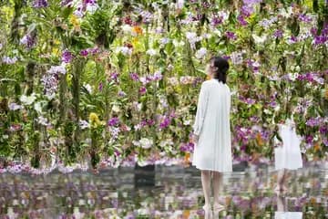 teamLab Planets TOKYO DMM