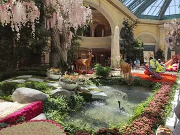 Bellagio Conservatory & Botanical Gardens