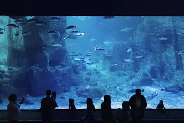 Istanbul Aquarium