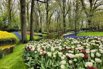 Keukenhof