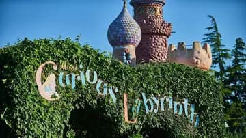 Alice's Curious Labyrinth