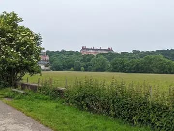 Petersham Meadows