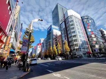 Akihabara Electric Town