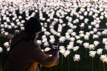 Ever After Garden - Royal Marsden Cancer Charity